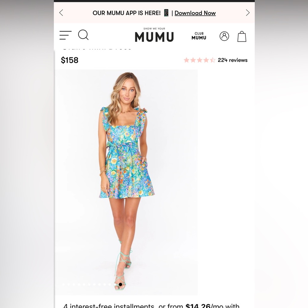 Show me your mumu Claire mini dress